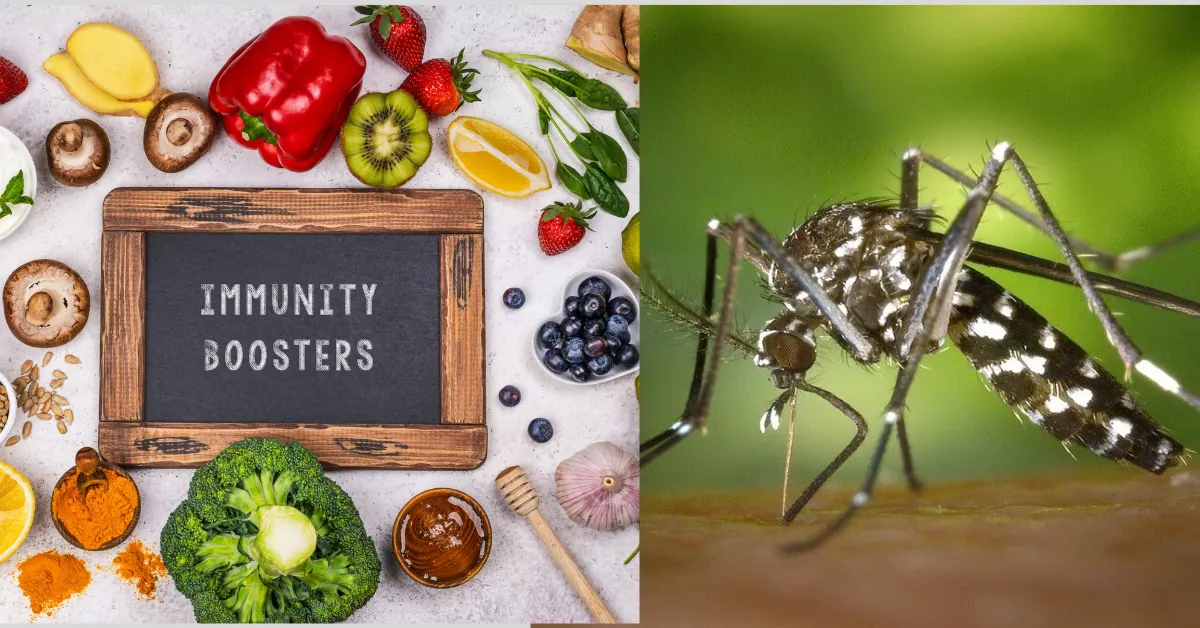 immunity booster foods against mosquitoes