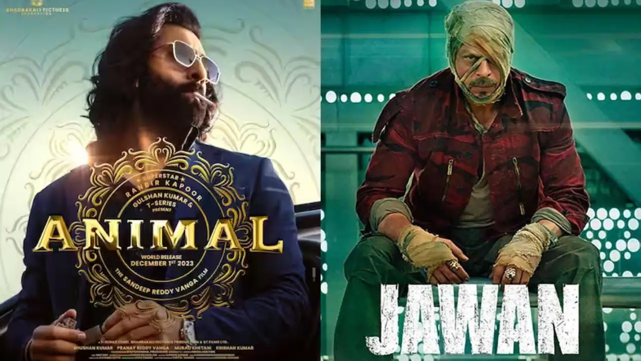 Animal vs Jawan